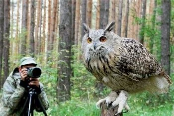 Экомир